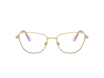 Swarovski SK 1018 4036 55 Women glasses