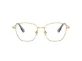 Swarovski SK 1019 4021 54 Women glasses