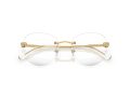 Swarovski SK 1021 4004 53 Women glasses