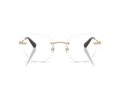 Swarovski SK 1021 4013 51 Women glasses