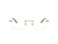 Swarovski SK 1021 4017 53 Women glasses