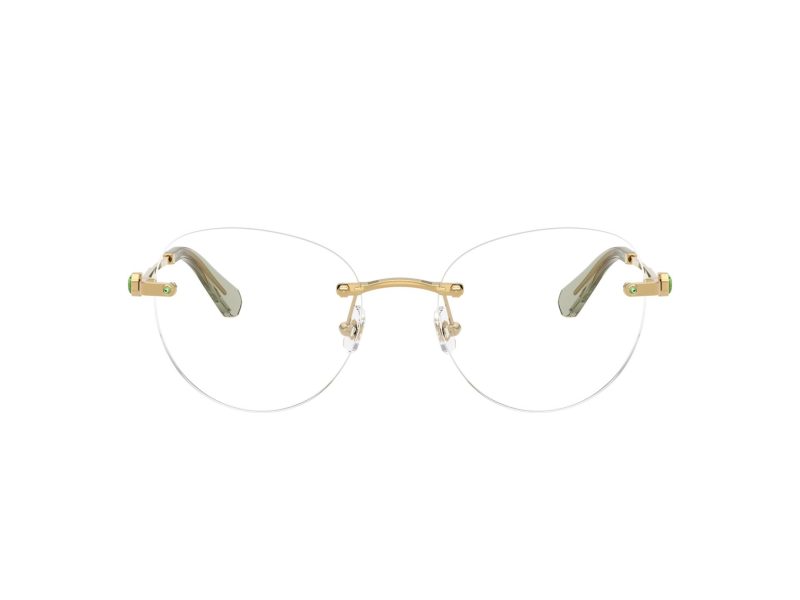 Swarovski SK 1021 4017 53 Women glasses