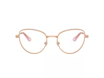 Swarovski SK 1022 4014 54 Women glasses