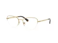 Swarovski SK 1023 4004 52 Women glasses