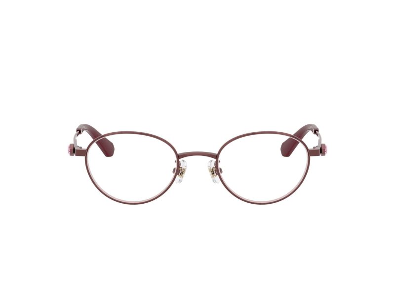 Swarovski SK 1028TD 4040 47 Women glasses