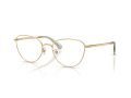 Swarovski SK 1029D 4017 54 Women glasses