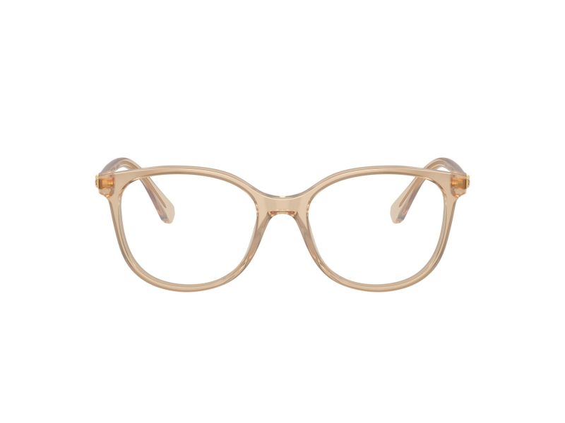 Swarovski SK 2002 1034 51 Women glasses