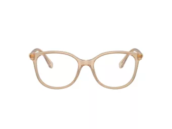 Swarovski SK 2002 1034 53 Women glasses
