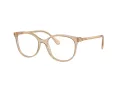 Swarovski SK 2002 1034 53 Women glasses