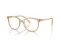Swarovski SK 2002 1034 53 Women glasses