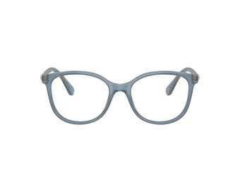 Swarovski SK 2002 1035 51 Women glasses