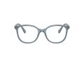 Swarovski SK 2002 1035 53 Women glasses