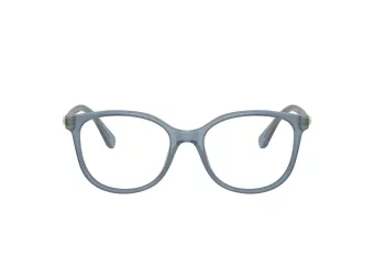 Swarovski SK 2002 1035 53 Women glasses
