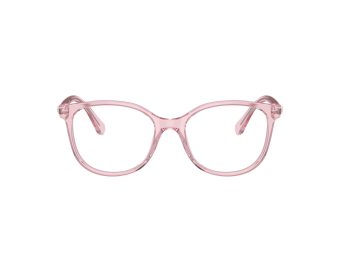 Swarovski SK 2002 3001 53 Women glasses