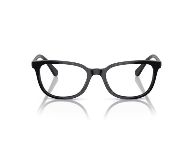 Swarovski SK 2003 1001 52 Women glasses