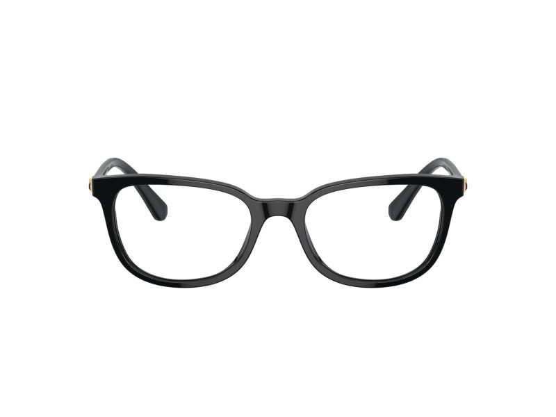 Swarovski SK 2003 1001 52 Women glasses