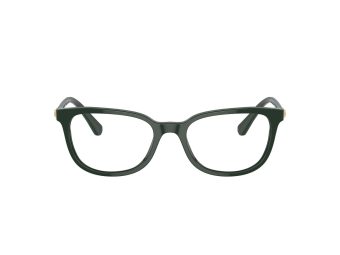 Swarovski SK 2003 1026 50 Women glasses