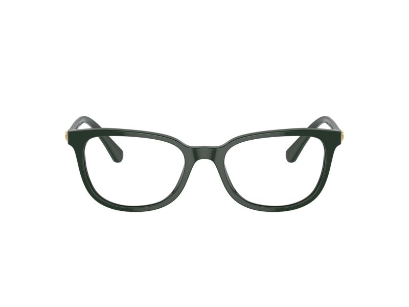 Swarovski SK 2003 1026 50 Women glasses