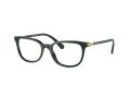 Swarovski SK 2003 1026 50 Women glasses