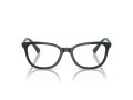 Swarovski SK 2003 1026 50 Women glasses