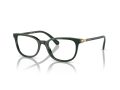 Swarovski SK 2003 1026 50 Women glasses