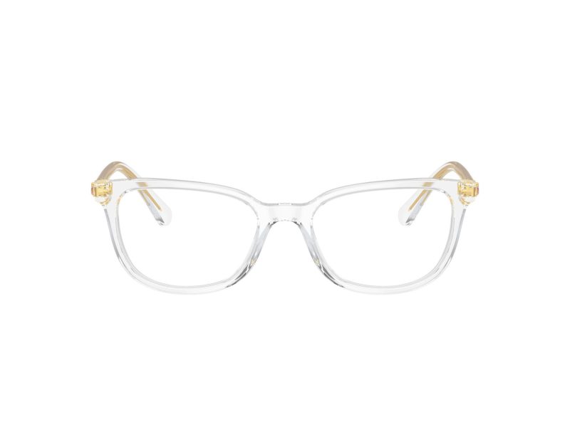Swarovski SK 2003 1027 50 Women glasses