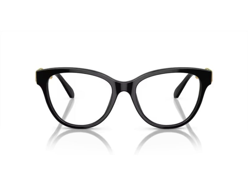 Swarovski SK 2004 1001 54 Women glasses