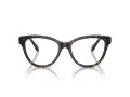 Swarovski SK 2004 1002 52 Women glasses