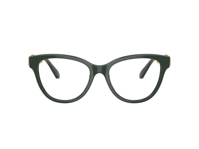 Swarovski SK 2004 1026 54 Women glasses