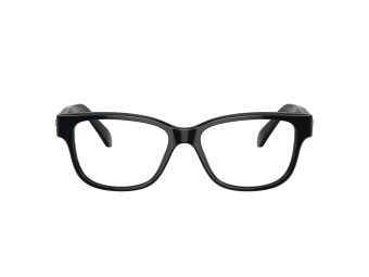 Swarovski SK 2007 1001 54 Women glasses