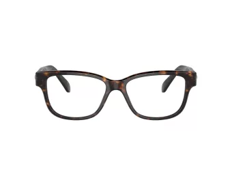 Swarovski SK 2007 1002 52 Women glasses