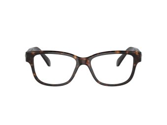 Swarovski SK 2007 1002 54 Women glasses