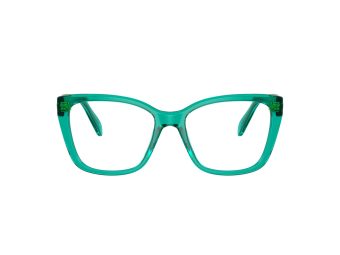 Swarovski SK 2008 1029 53 Women glasses