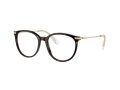 Swarovski SK 2009 1002 50 Women glasses