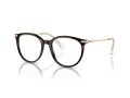Swarovski SK 2009 1002 50 Women glasses