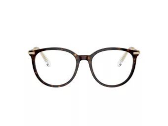 Swarovski SK 2009 1002 52 Women glasses