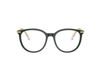 Swarovski SK 2009 1026 50 Women glasses