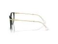 Swarovski SK 2009 1026 50 Women glasses