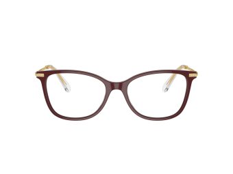 Swarovski SK 2010 1008 52 Women glasses