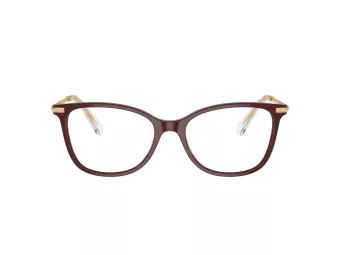 Swarovski SK 2010 1008 54 Women glasses