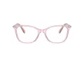 Swarovski SK 2010 3001 54 Women glasses