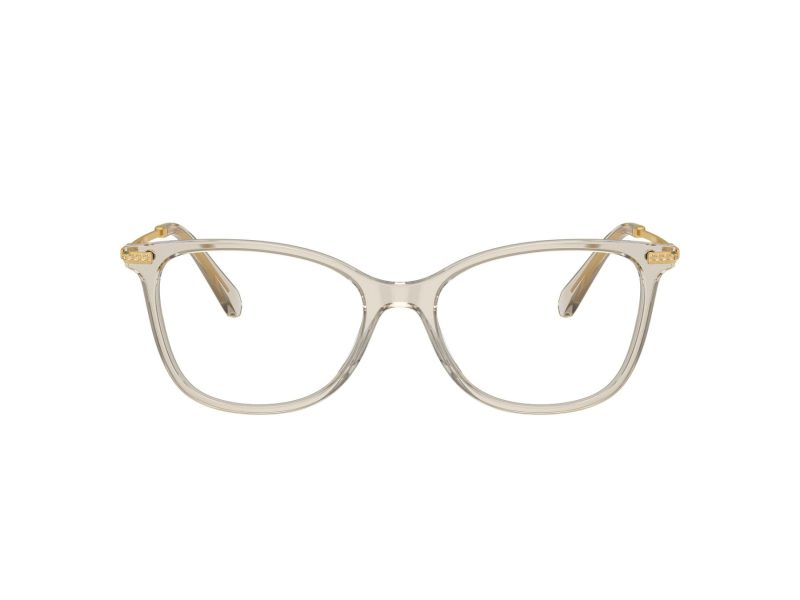 Swarovski SK 2010 3003 54 Women glasses