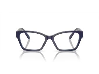 Swarovski SK 2013 1018 54 Women glasses