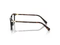 Swarovski SK 2015 1002 53 Women glasses