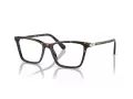 Swarovski SK 2015 1002 53 Women glasses