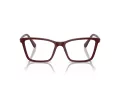 Swarovski SK 2015 1008 53 Women glasses