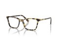 Swarovski SK 2015 1009 51 Women glasses