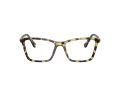Swarovski SK 2015 1009 53 Women glasses