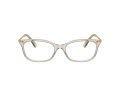 Swarovski SK 2017 3003 52 Women glasses