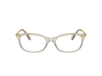 Swarovski SK 2017 3003 52 Women glasses